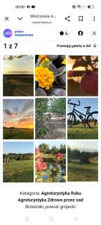 Agroturystyka Zdrowo przez sad - 4