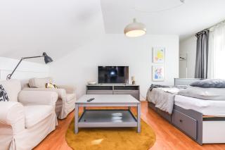 Samobor loft on the River - 1