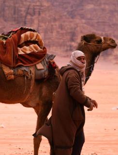 Jeep Tour & Wadi Rum Magical - 2