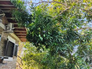 Olinda sítio Histórico Alto da Sé - 4