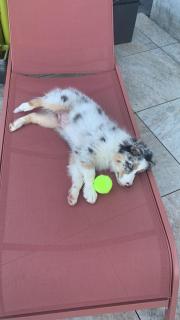 Landhaus in den Weinbergen - 8