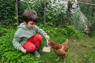 Landhaus in den Weinbergen - 3