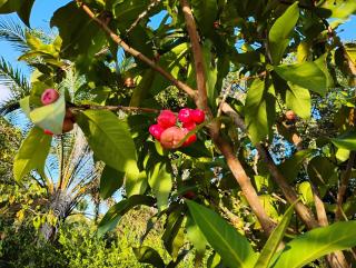 Olinda sítio Histórico Alto da Sé - 7