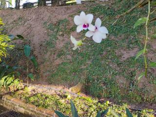 Olinda sítio Histórico Alto da Sé - 9