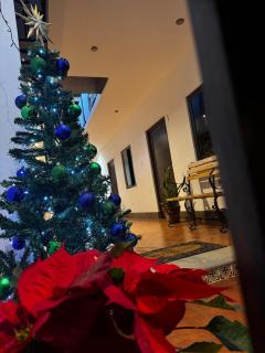 Hotel Casa Jasmin - 8