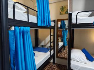 Anchor Point Hostel and Cafe - 5