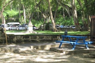 104 Batts Rock Beach Condos near UWI - 4