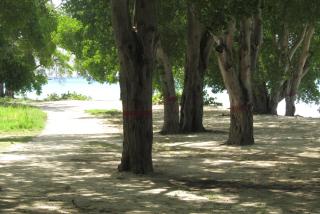 104 Batts Rock Beach Condos near UWI - 3