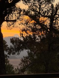 Cabaña Chalet VerdeTerra - 5