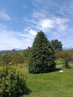 Brisas de Puerto Varas Cabin - 7