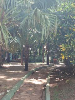 Águas da Serra com acesso ao rio e vista pra serra - 8