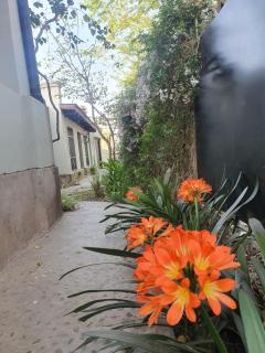 Los Tarcos Guest House - 1