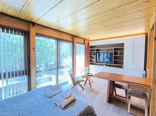 CAUQUENES, monoambiente centrico - 9