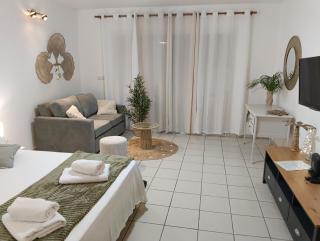 Rêve Créole, accès piscine, plage et golf - 1