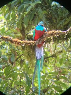 Entre Árboles Lodge - 1