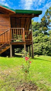 Entre Árboles Lodge - 2