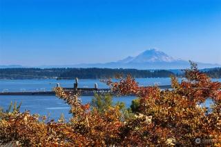 Seattle Craftsman Mansion w Lk&Mt Rainier view - 5