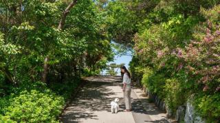 Yeongheungdo noeul&bada pension - Incheon - 4