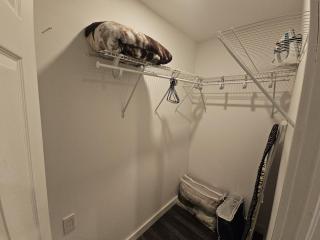 Beautiful newly designed Luxurious Apartment - 8