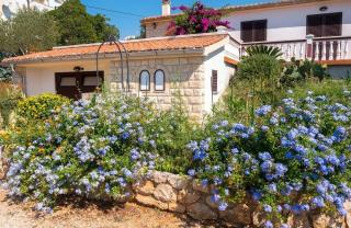 Apartments with parking space Barbat, Rab - 22098 - Rab - 1