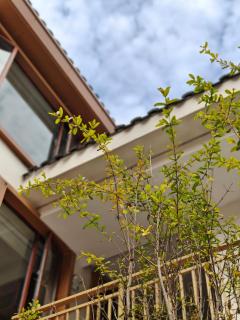 Home along the way - 4