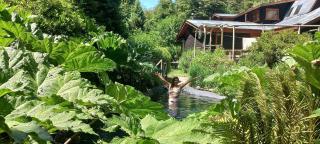 Pucón Volcano Forest SPA - 9