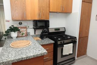 Rustic Charm, Apartment in the heart of Santiago - 3