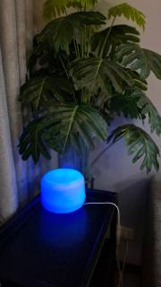 Cozy Condo beside SM Mall - 5