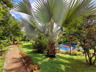 Cabañas Casa Luna - 4