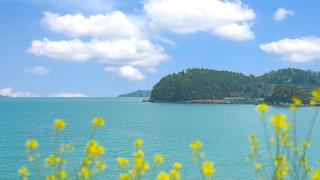 Geojedo Pilos Ocean View Pension - 7