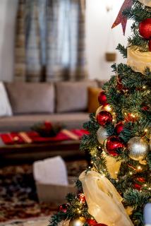 Slona, Heritage Home in Old Town Plovdiv - 6