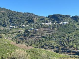 Burnside Cottage - Kotagiri - 6