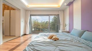 Hoengseong Withpet Village -  - 5