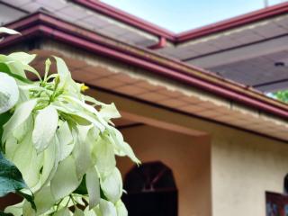 Mango Villa Hiriketiya - 5