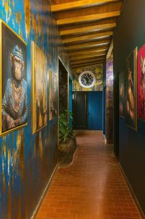 Casa amplia con estilo, poblado, disco y AC - 6