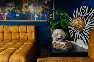 Casa amplia con estilo, poblado, disco y AC - 5