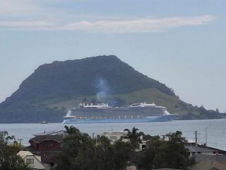 Railway Sleeper - 2025 Tiny Home Award Winner - 8