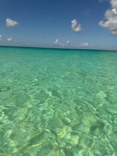 3BD 3BA Retreat near Airport w Washer Dryer - 5