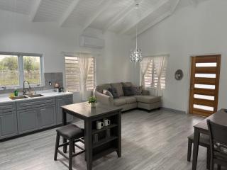 3BD 3BA Retreat near Airport w Washer Dryer - 1