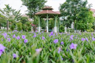 Sea Gallery Tropical Villa Private Pool Khem Beach Phu Quoc - 8