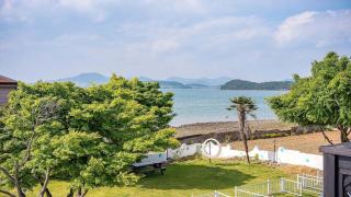 Yeosu Dangdangi Dog Family Pension Gold - 8