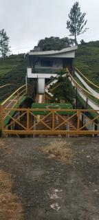 Bison valley - Ooty - 2