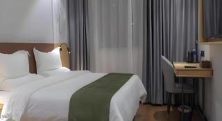 GreenTree Inn Express Datong High-Speed Railway Station Old City Wall - 1