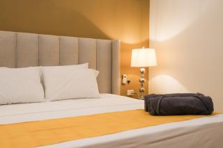 Hacienda la floresta Tulum - Tulum - 1