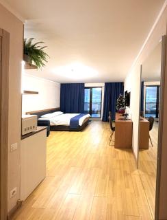 Orbi Deluxe Bakuriani Room 222 - 5