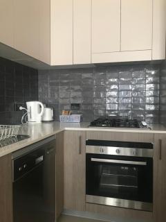 Luxury Apt with 2BR plus 2Bath - 1