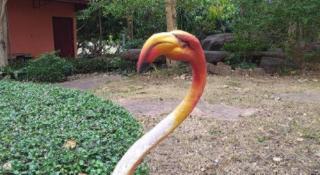 Raisubsomboon Resort - 7