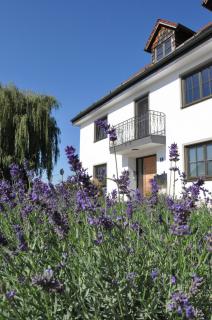 GRUNDLERS - Gästehaus am See - 6