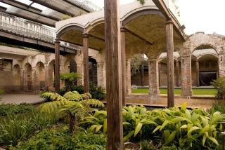 Paddington 3BR Home with Courtyard & Parking - 4