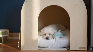 Gapyeong Ddobagi Pet & Spa Glamping - 6